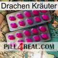 Drachen Kräuter 10